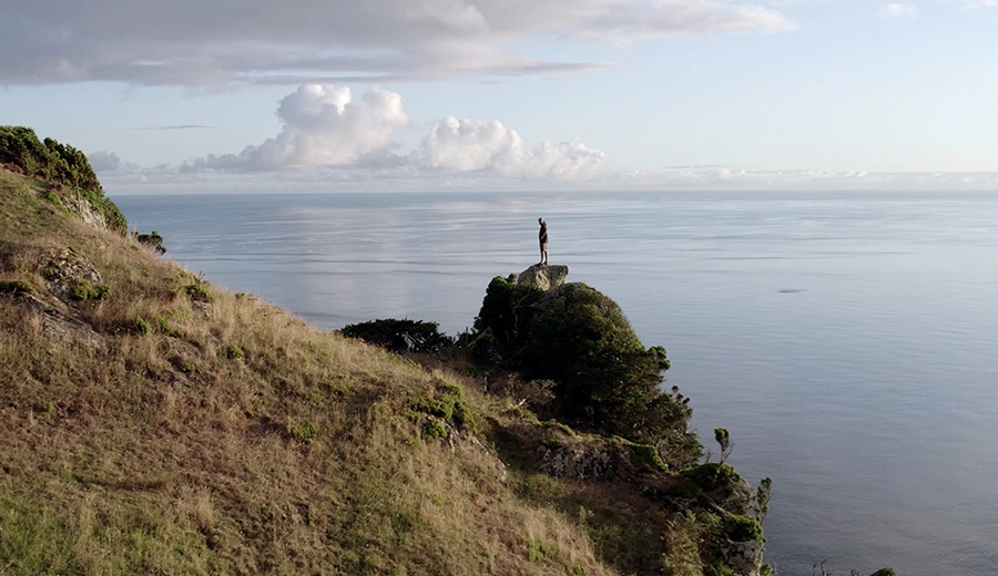 Naetive landscape view